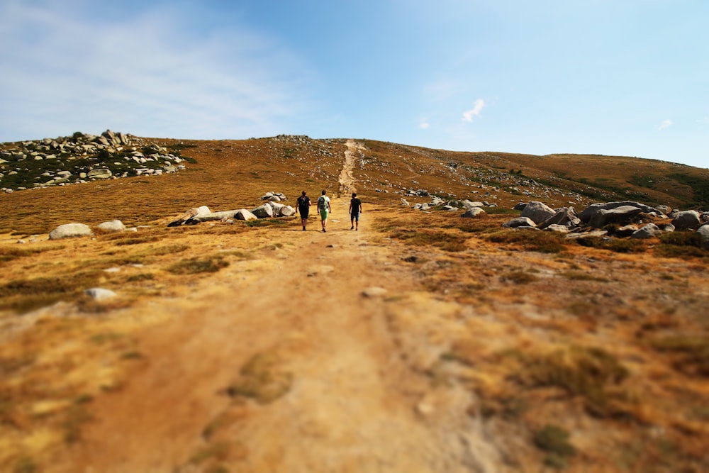 Tres hombres caminando por el valle durante el día