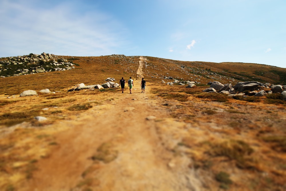 three men walking on valley during daytime