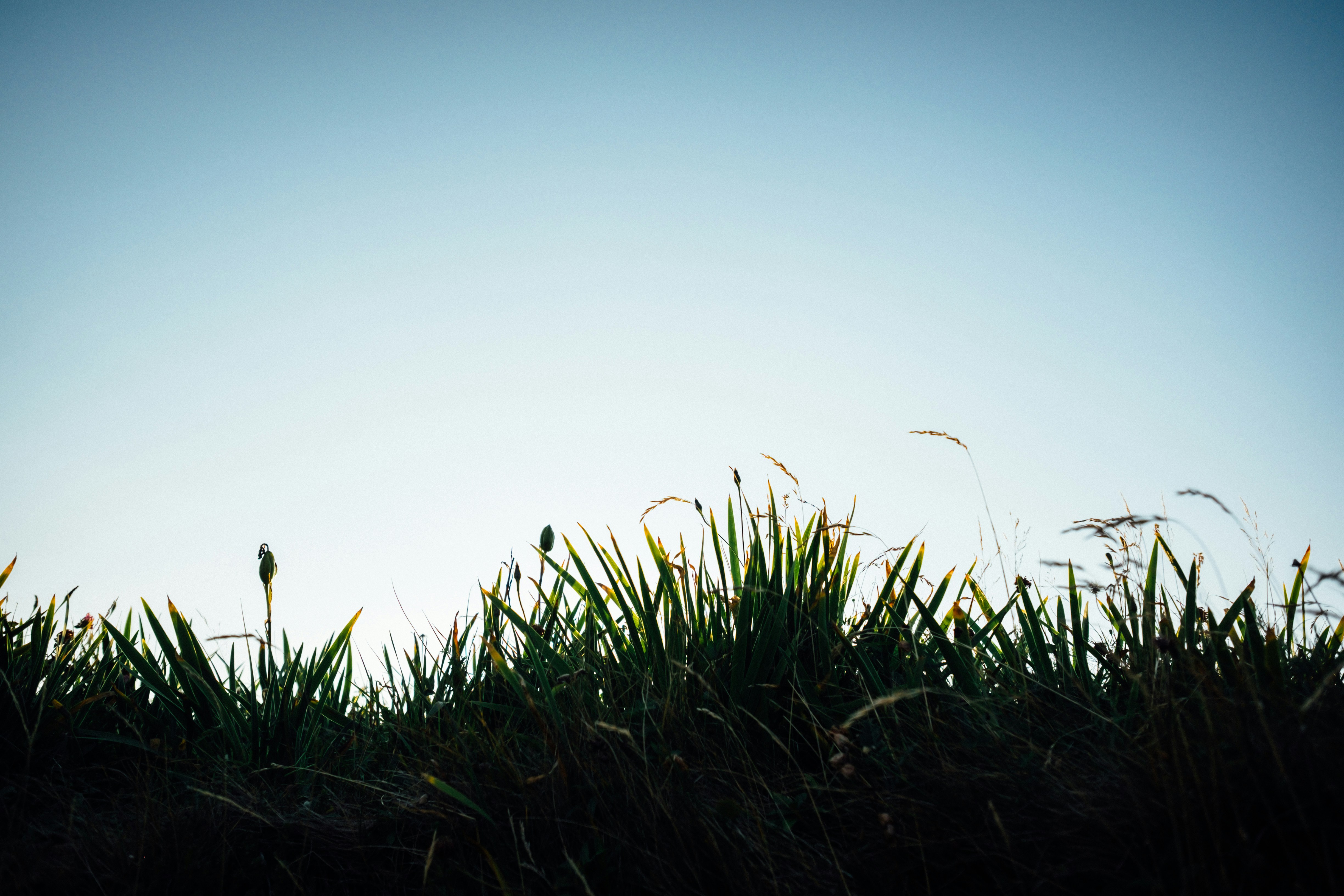 Photo by timberfoster