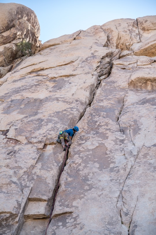 person in blue shirt climbing on brown mountain in Joshua Tree National Park United States
