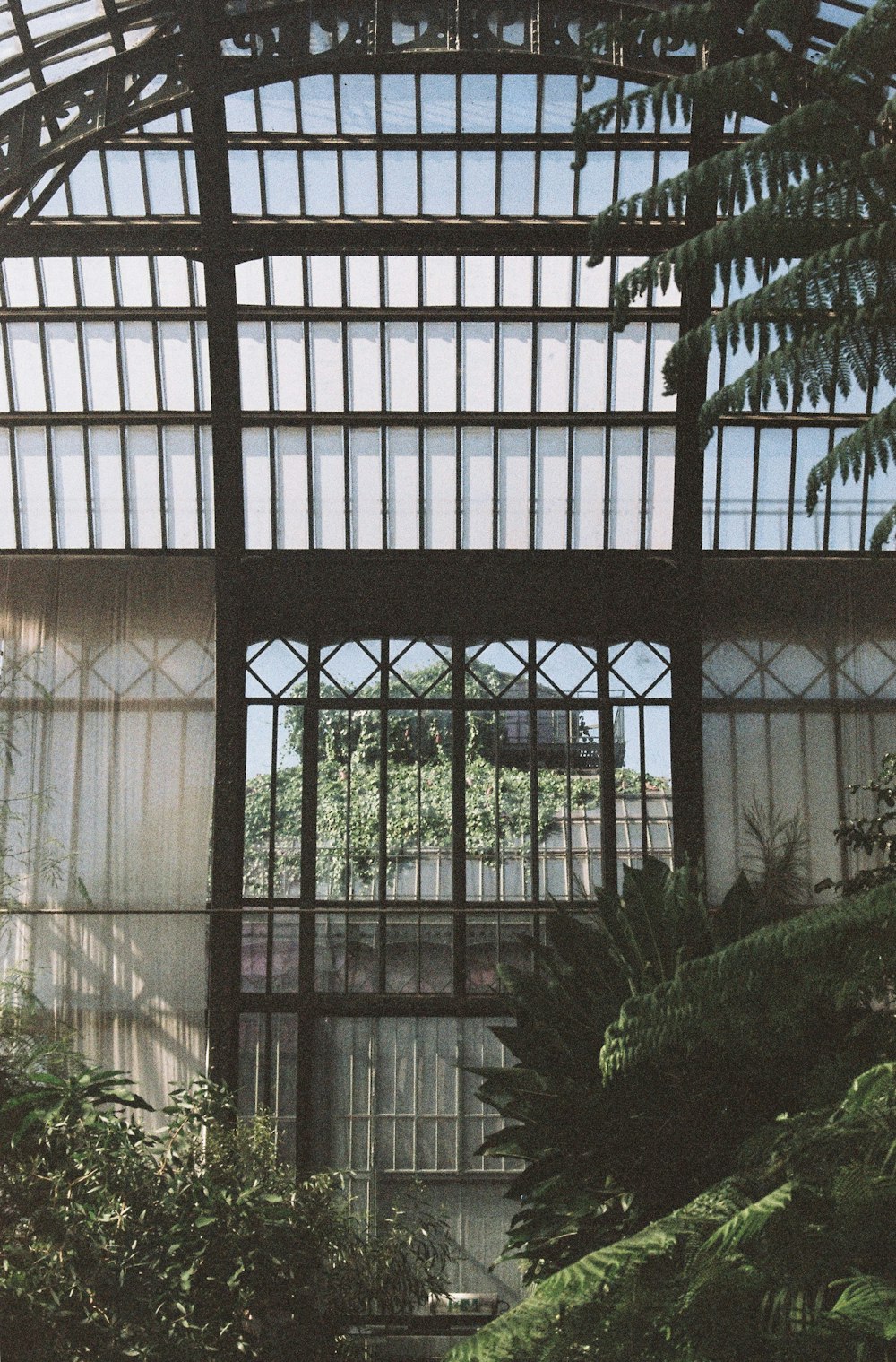 green leaf trees inside white greenhouse