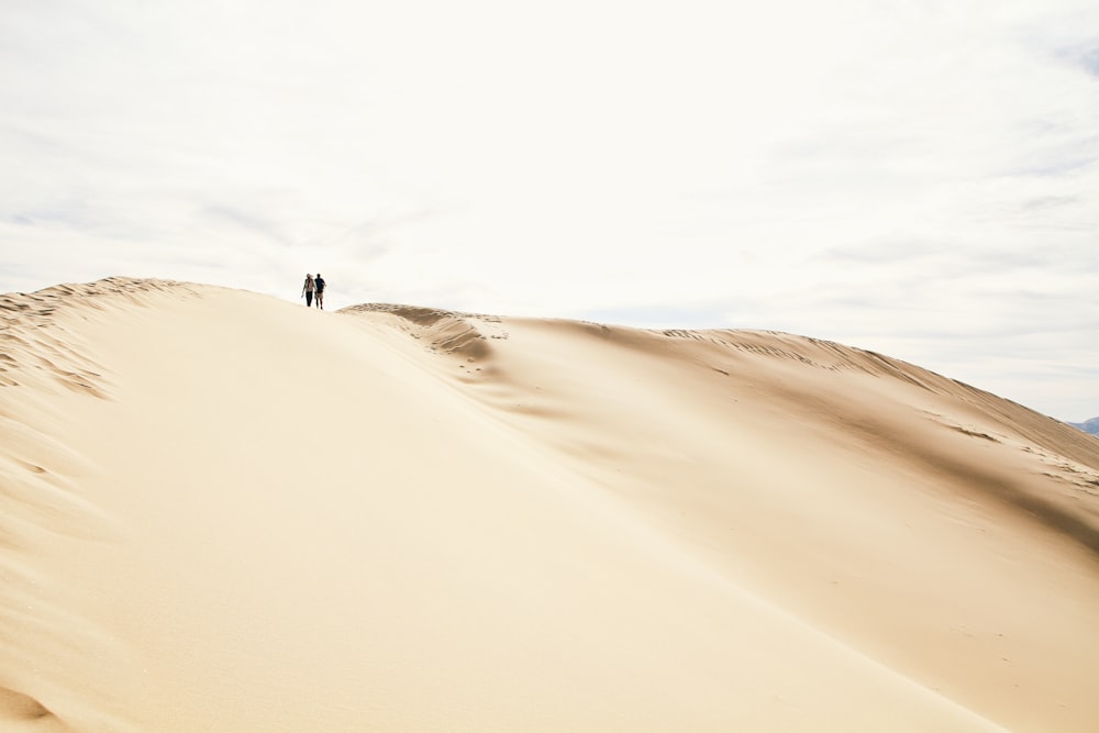 silouette of two people standing on sand under clear sky