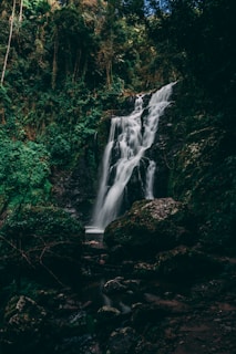 waterfalls in the middle of forest