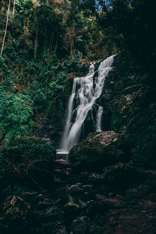 waterfalls in the middle of forest
