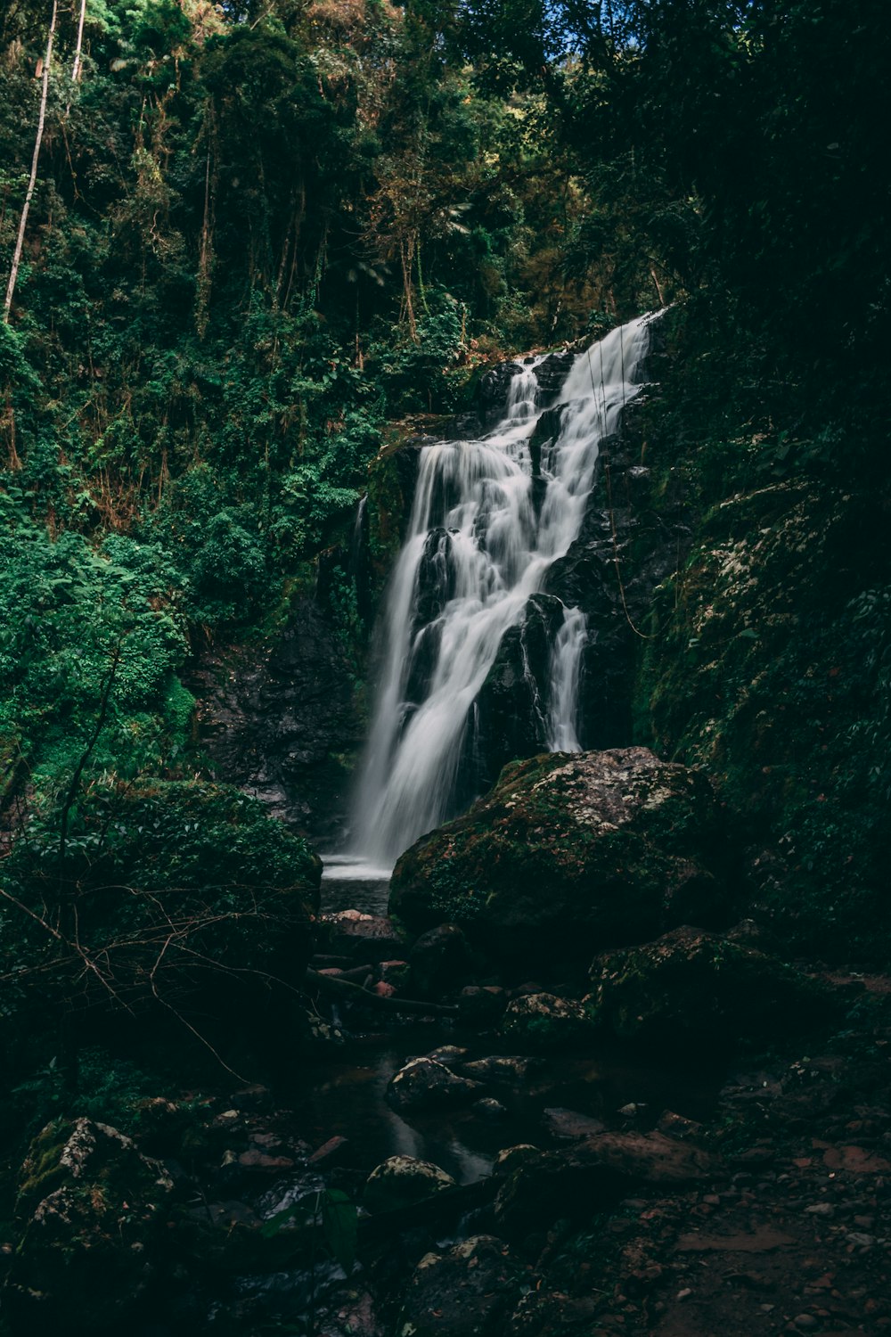 waterfalls in the middle of forest