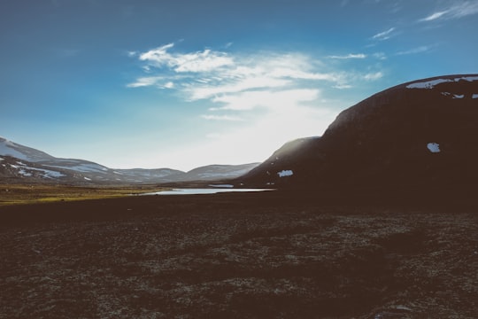 brown rock mountain during day time in Dovrefjell Norway