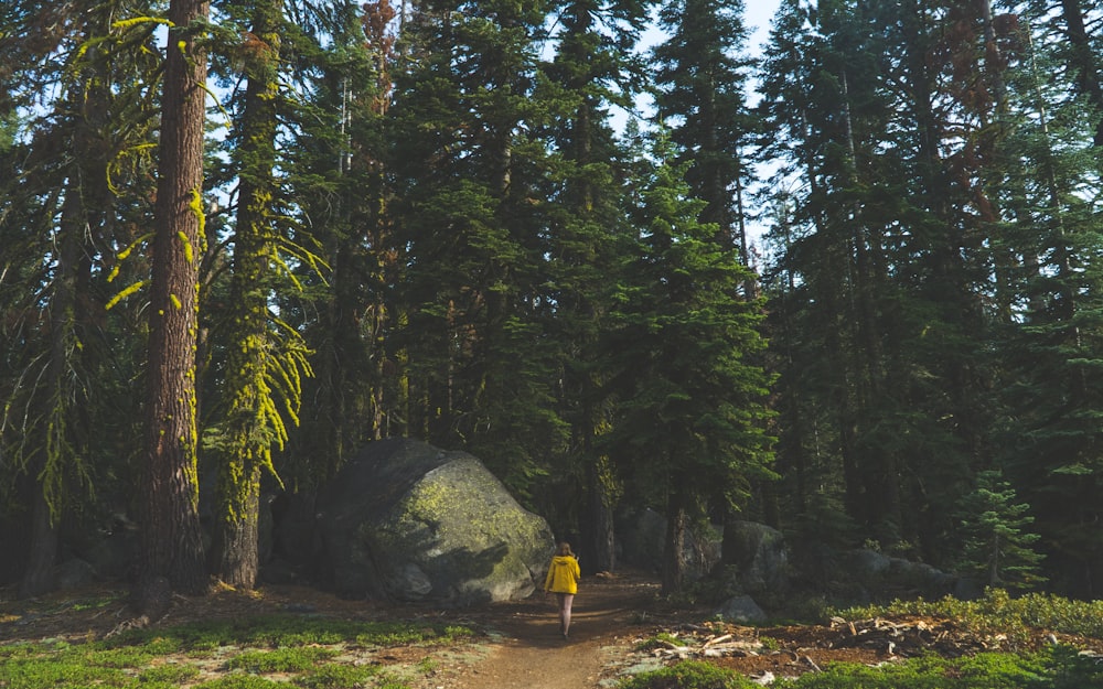 person walking towards woods