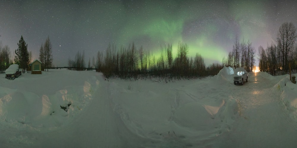 Aurora Boreal sobre árvores