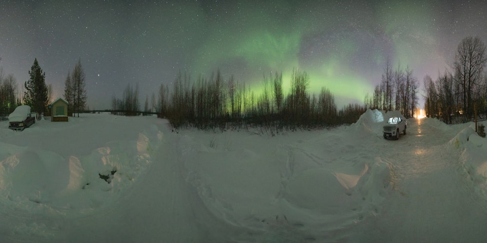 Aurora boreal sobre los árboles