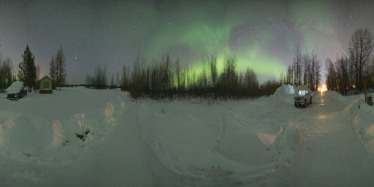 Aurora borealis over a snow-dusted forest in Talkeetna, Alaska