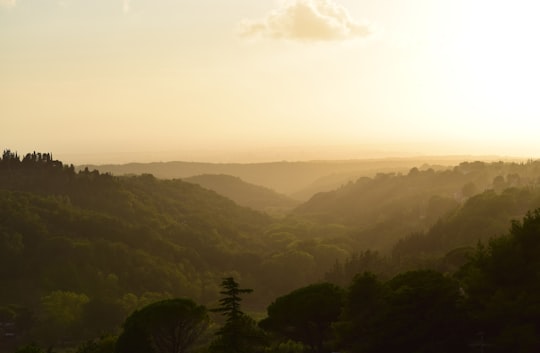 forest mountain during sunset in Montescudaio Italy