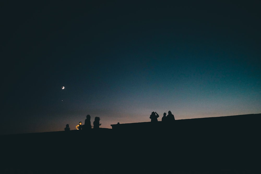 silhouette of people under clear sky