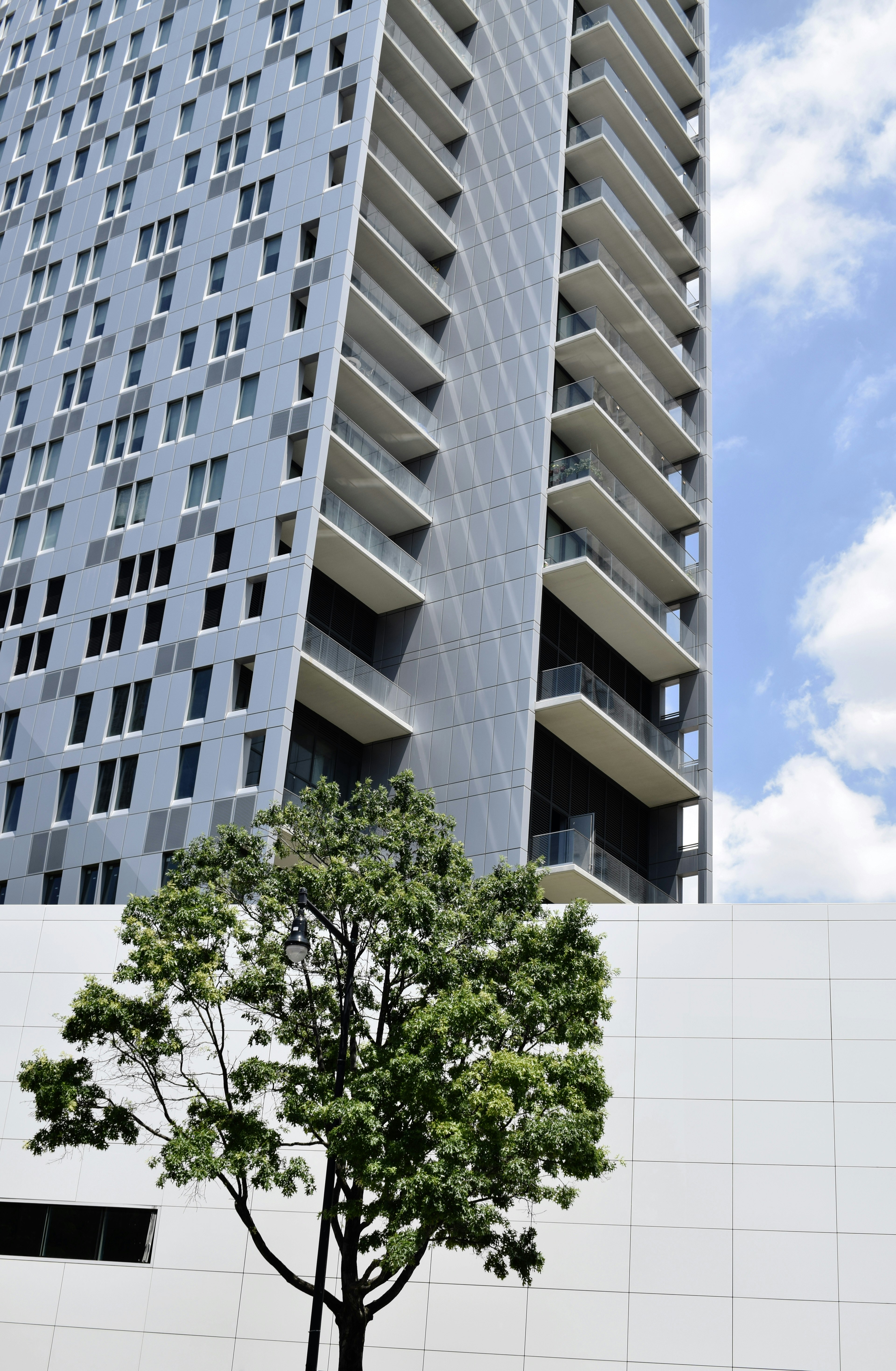 green tree beside building