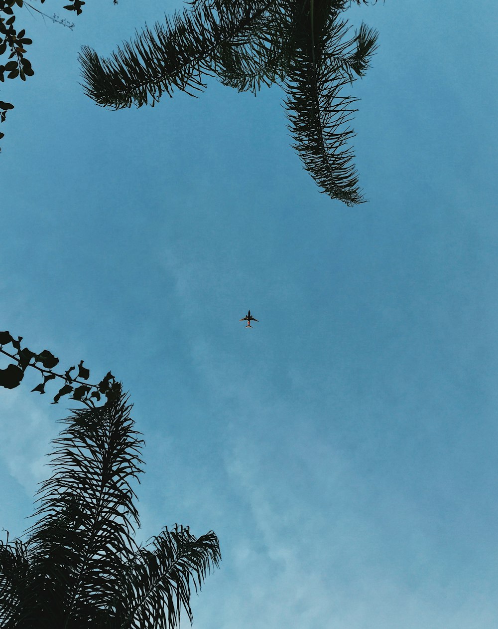 airplane in mid air low angle photography