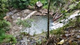 A natural setting featuring a small river or stream flowing through a lush, green forest. A simple wooden hut with a thatched roof is situated near the water. Two people are visible near the water's edge, surrounded by rocky terrain and dense vegetation. The water appears clear, and fallen logs and branches add to the scene's rustic nature.