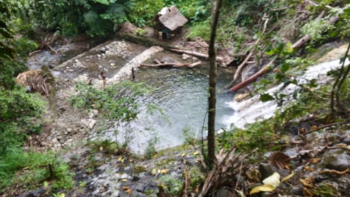 A natural setting featuring a small river or stream flowing through a lush, green forest. A simple wooden hut with a thatched roof is situated near the water. Two people are visible near the water's edge, surrounded by rocky terrain and dense vegetation. The water appears clear, and fallen logs and branches add to the scene's rustic nature.