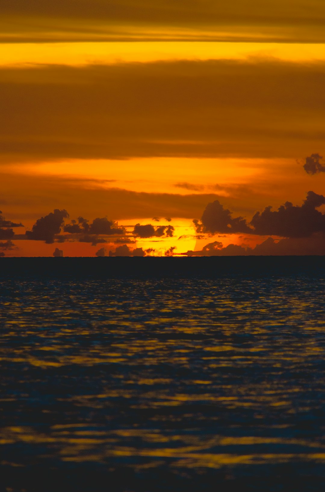 body of water during golden hour