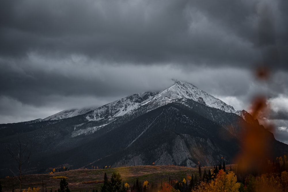 Montaje gris y blanco bajo nubes grises