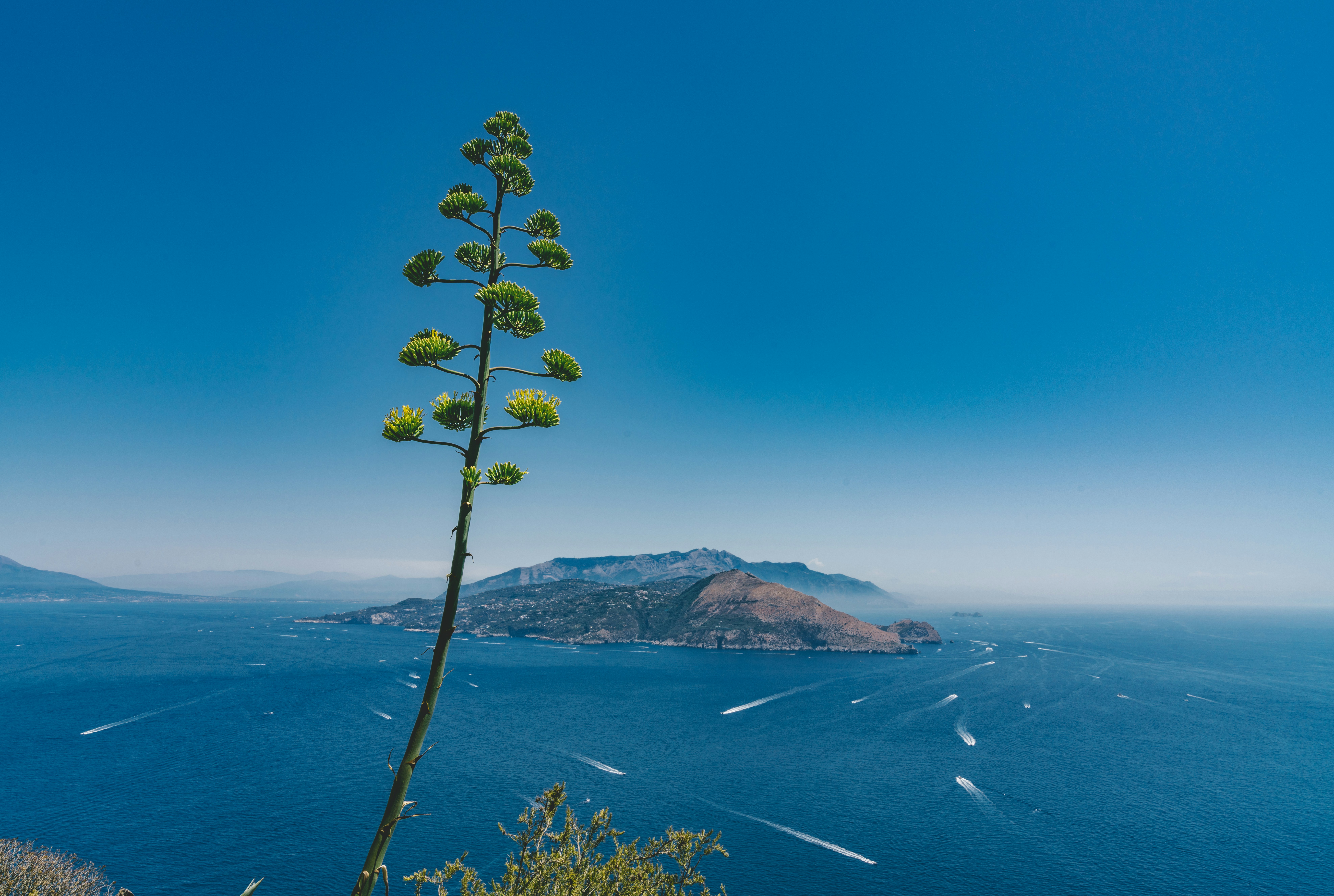 aerial photography of island during daytime