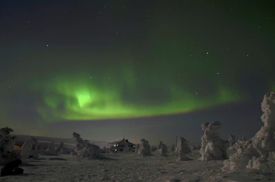 The aurora over the snow-loaded trees of a fell outside Levi — Lapland, Finland