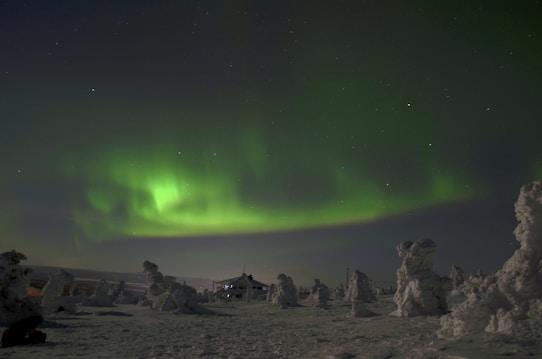 A striking display of the northern lights with vibrant green hues stretching across the night sky. The foreground features snow-covered trees and a small structure, creating a serene and majestic winter landscape.