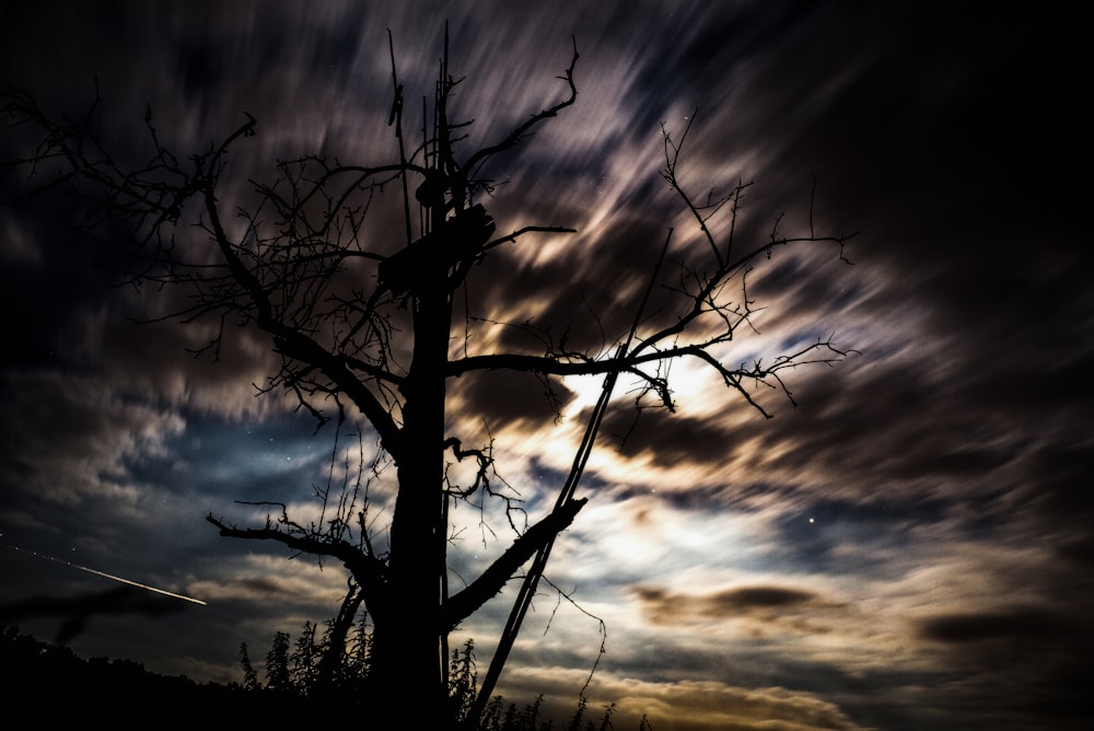 Zeitrafferfoto von kahlen Bäumen unter Himmel und Wolken