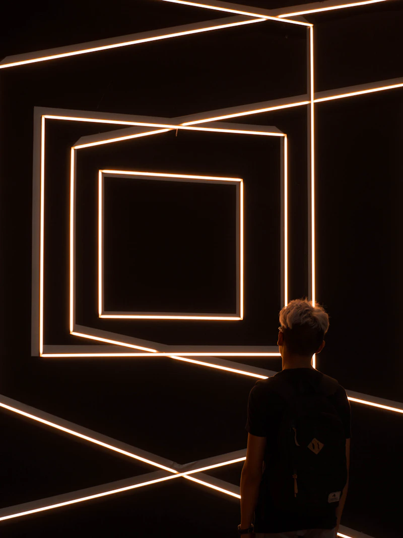 The Light Frames