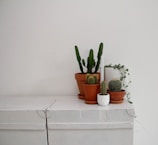 Minimalist arrangement of succulents in beige ceramic pots on a wooden surface.