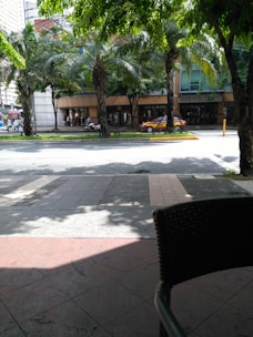 A street scene featuring several tall palm trees lining a sidewalk in front of a commercial building. The building has glass windows and a sign with visible text. A parked red car is seen in front of the building, while a motorcycle with a rider is passing by. The area is shaded by the trees, and there are seating arrangements with wicker chairs visible in the foreground.