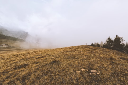 brown grass field near trees under white sky at daytime in Peitlerkofel Italy