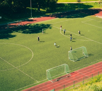 people playing soccer on soccer field