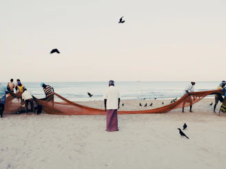 A spirited group engaged in wildlife rescue on a sandy beach, with nets and equipment laid out under a bright blue sky.