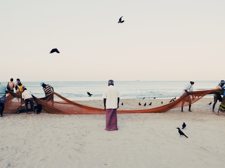 Several people are working together to pull a large fishing net on a sandy beach. Birds are flying and walking around the area, with the ocean visible in the background. One person stands in the center looking at the scene, dressed in traditional clothing.