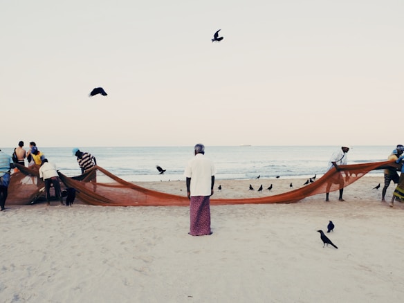 Several people are working together to pull a large fishing net on a sandy beach. Birds are flying and walking around the area, with the ocean visible in the background. One person stands in the center looking at the scene, dressed in traditional clothing.
