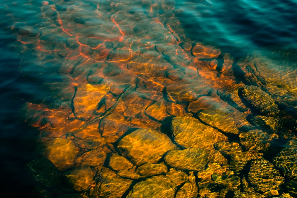 Braune Felsen unter Wasser während des Tages