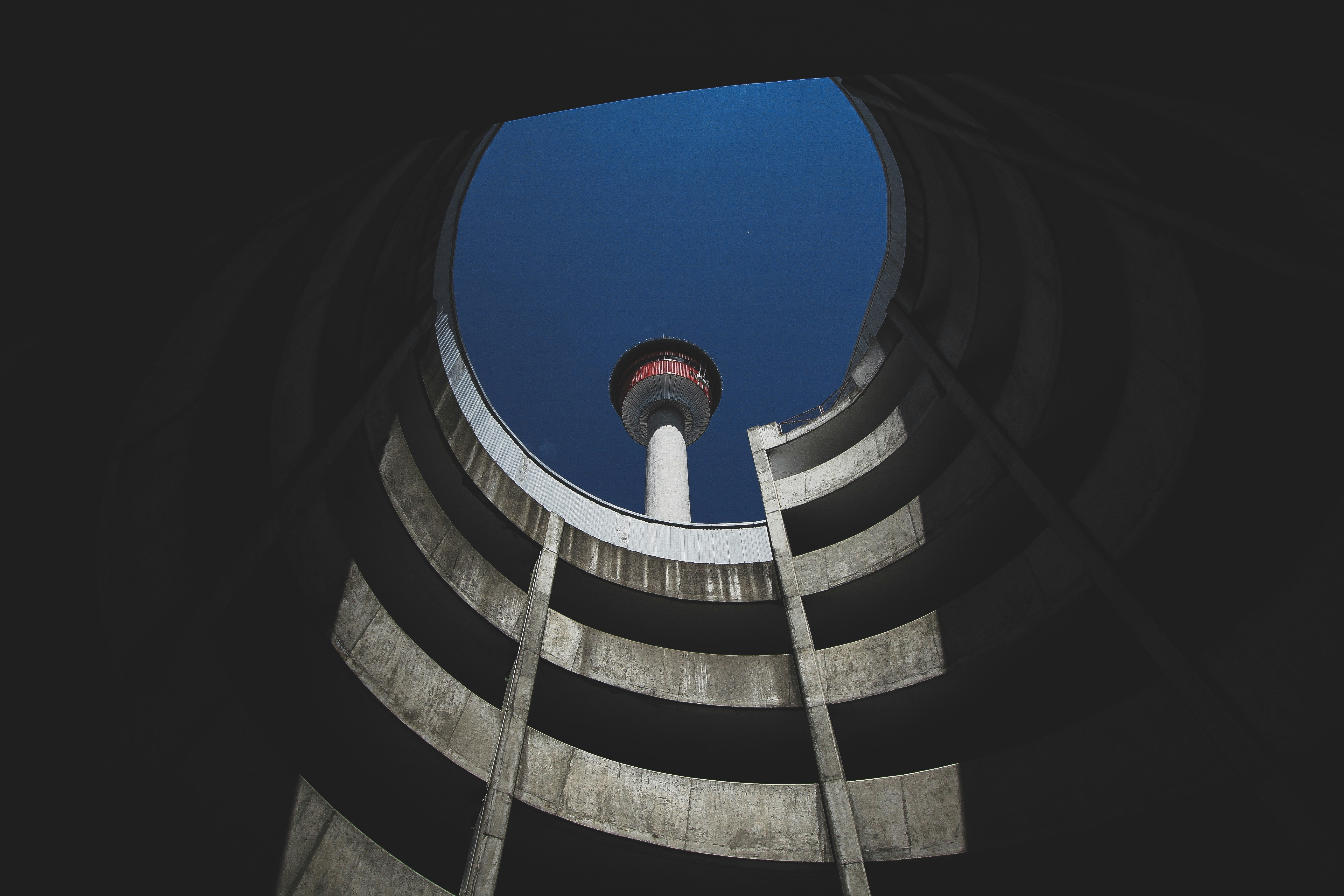 worm's-view photo of white structure