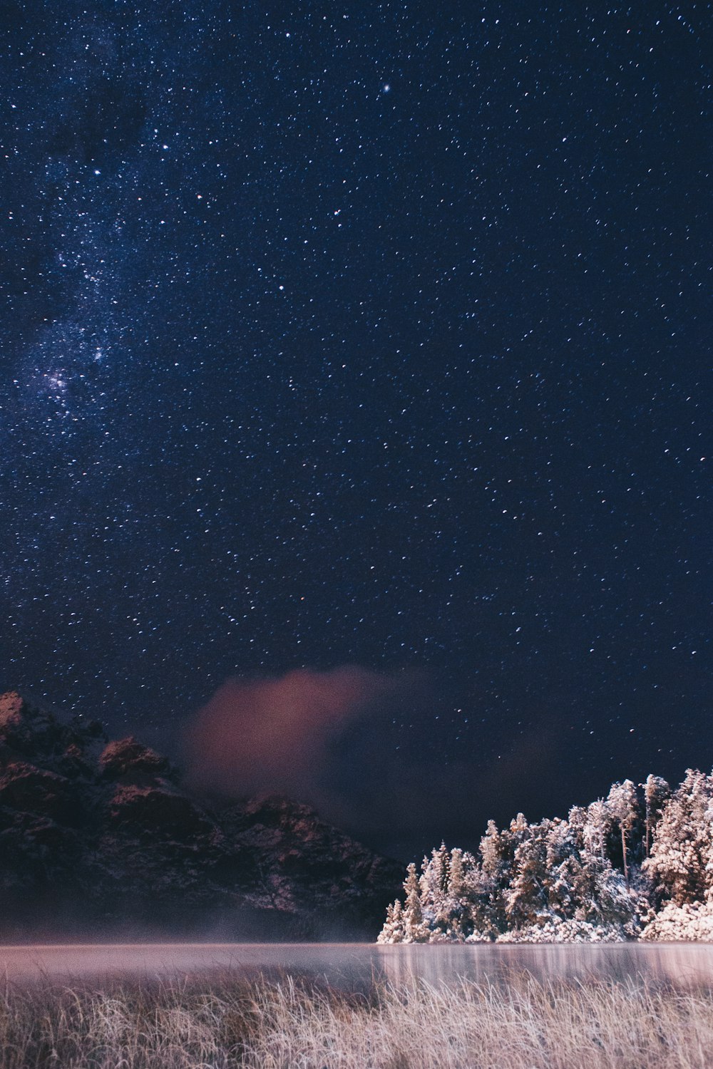 Foto de paisaje de árboles cerca del cuerpo de agua bajo el cielo estrellado