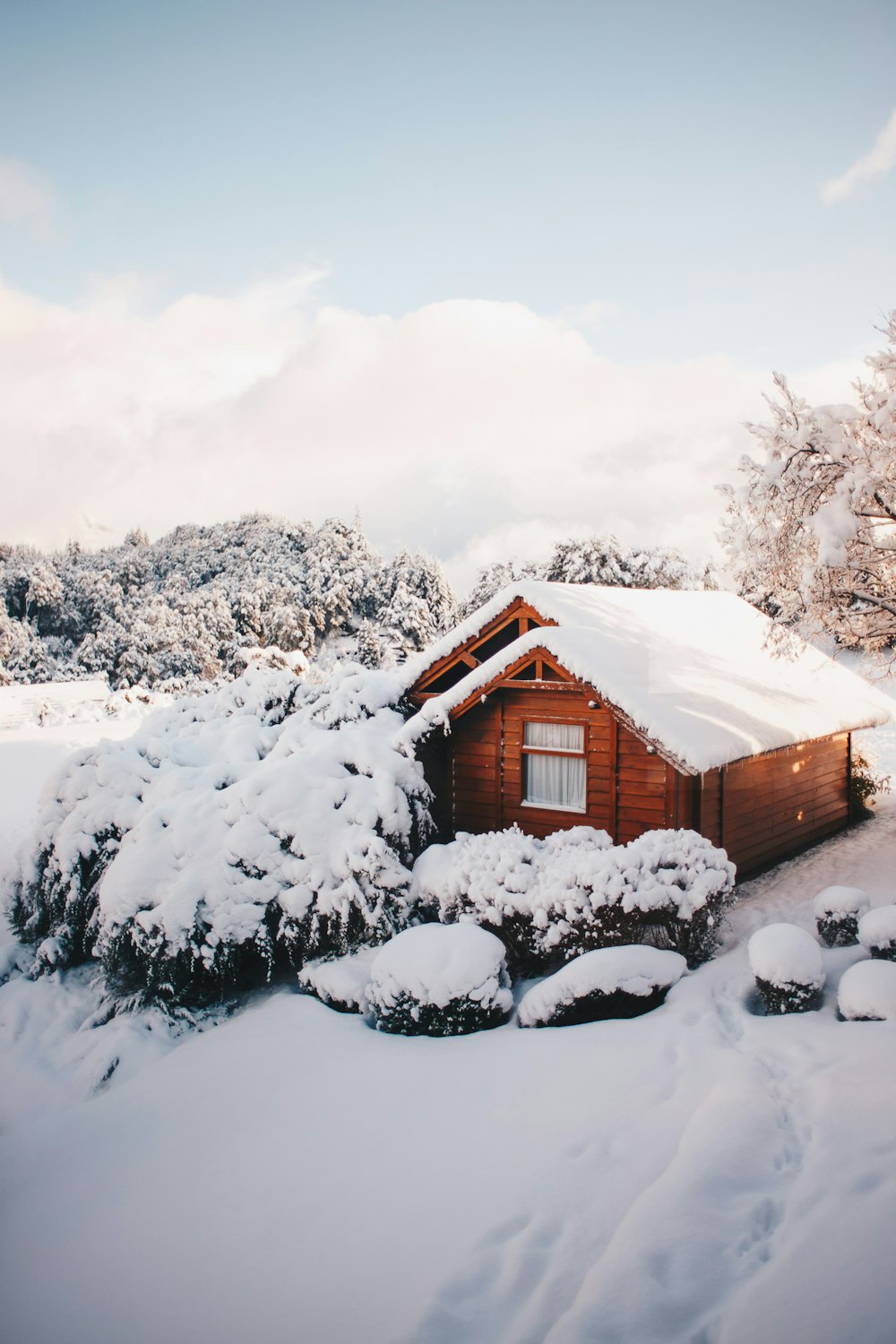 cabina marrone in inverno