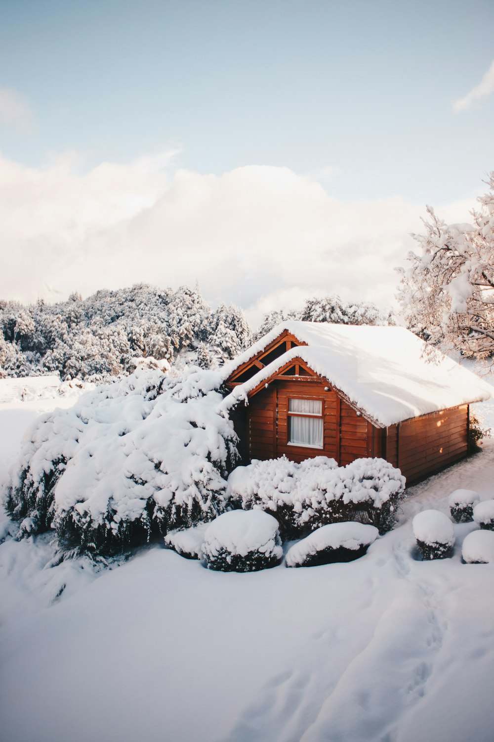 brown cabin at winter