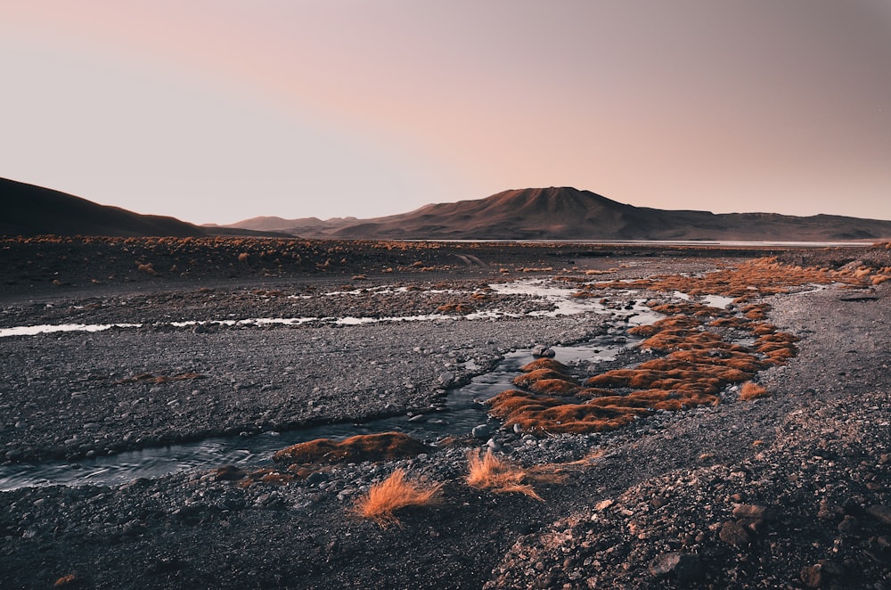 photo de paysage de montagne