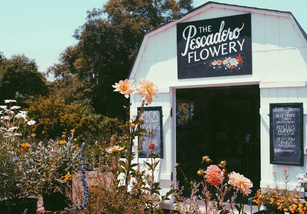 flowers near the barn during daytime