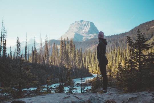 person staring at lake during daytime in Yoho National Park Canada