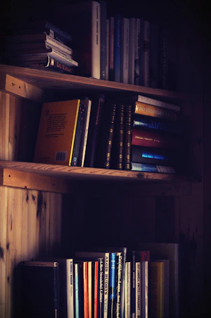 Softly lit wooden shelves showcasing a variety of fantasy novels and curiosities.