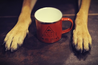 A cozy mug featuring a cheerful golden retriever illustration with the phrase 'Paws & Relax'
