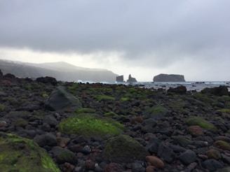 A rocky shoreline with moss-covered stones stretches towards the sea, where jagged rock formations rise from the water under a cloudy sky. The distant hills blend into the overcast atmosphere, creating a moody landscape.
