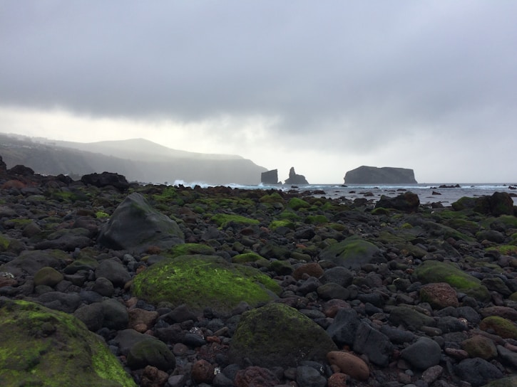 A rocky shoreline with moss-covered stones stretches towards the sea, where jagged rock formations rise from the water under a cloudy sky. The distant hills blend into the overcast atmosphere, creating a moody landscape.
