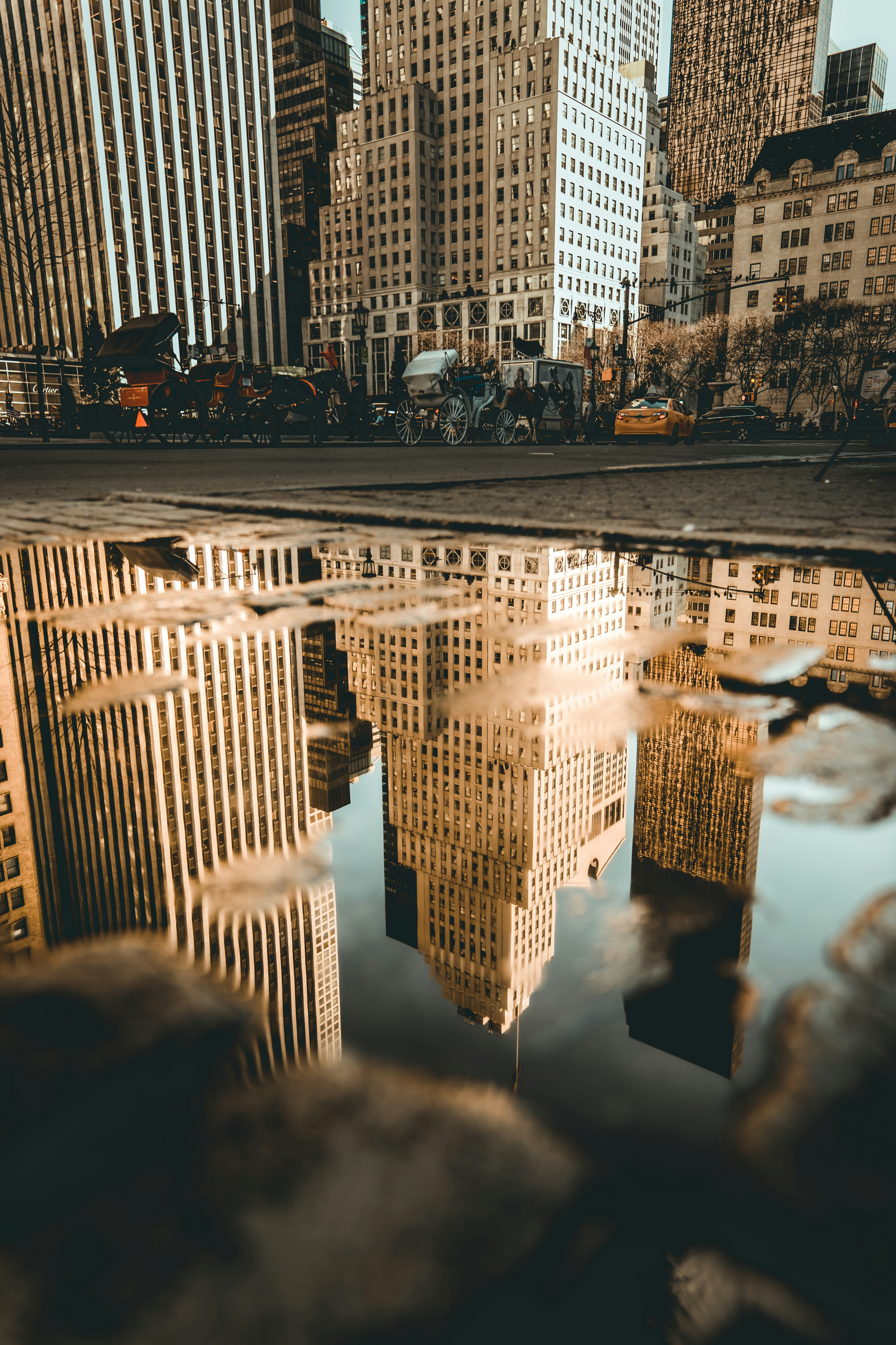 New york