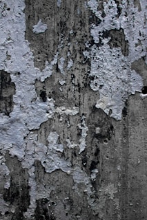 A close-up view of a weathered and peeling painted wall. The surface shows various shades of gray and white with visible texture and some dark patches, indicating mold or dirt. The paint is chipping and flaking off, revealing parts of the underlying concrete structure.