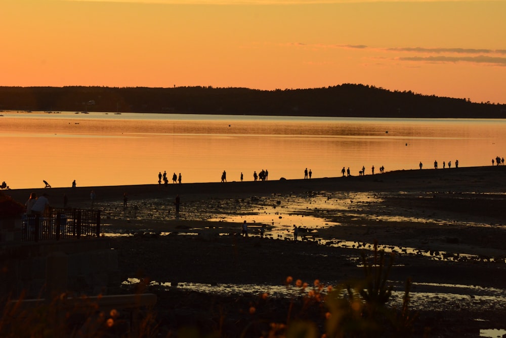 silhouette of people on seashore