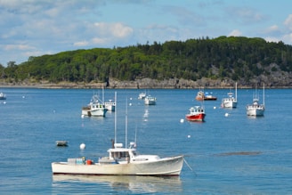 A peaceful bay with several boats anchored, receiving water from a small Aquamavi vessel.